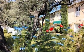 La Picholine en Provence